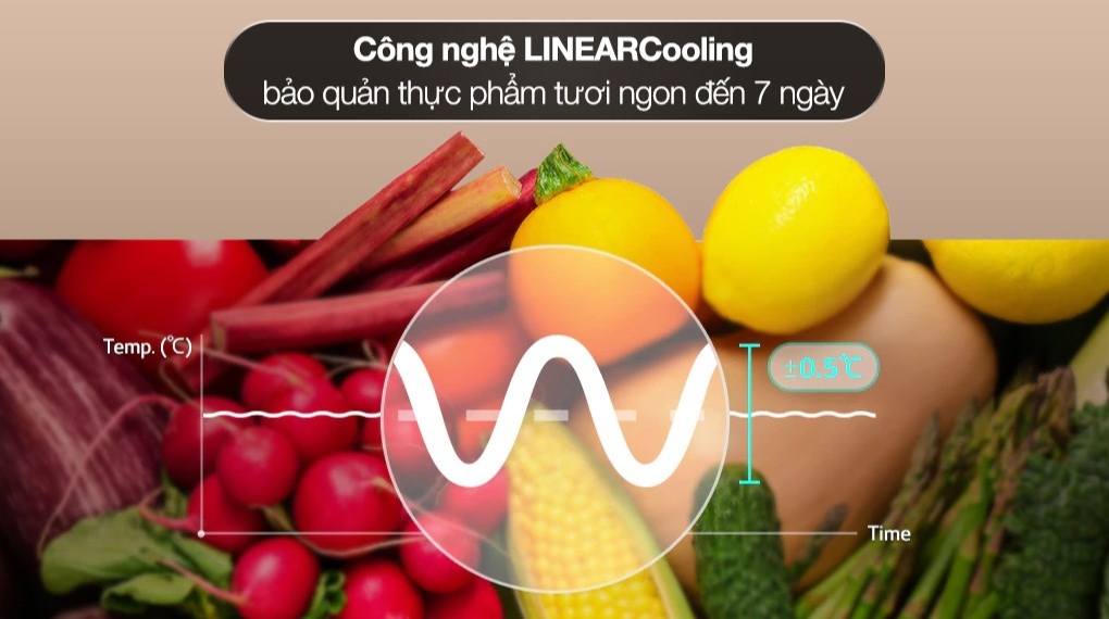 Ảnh mô tả sản phẩm