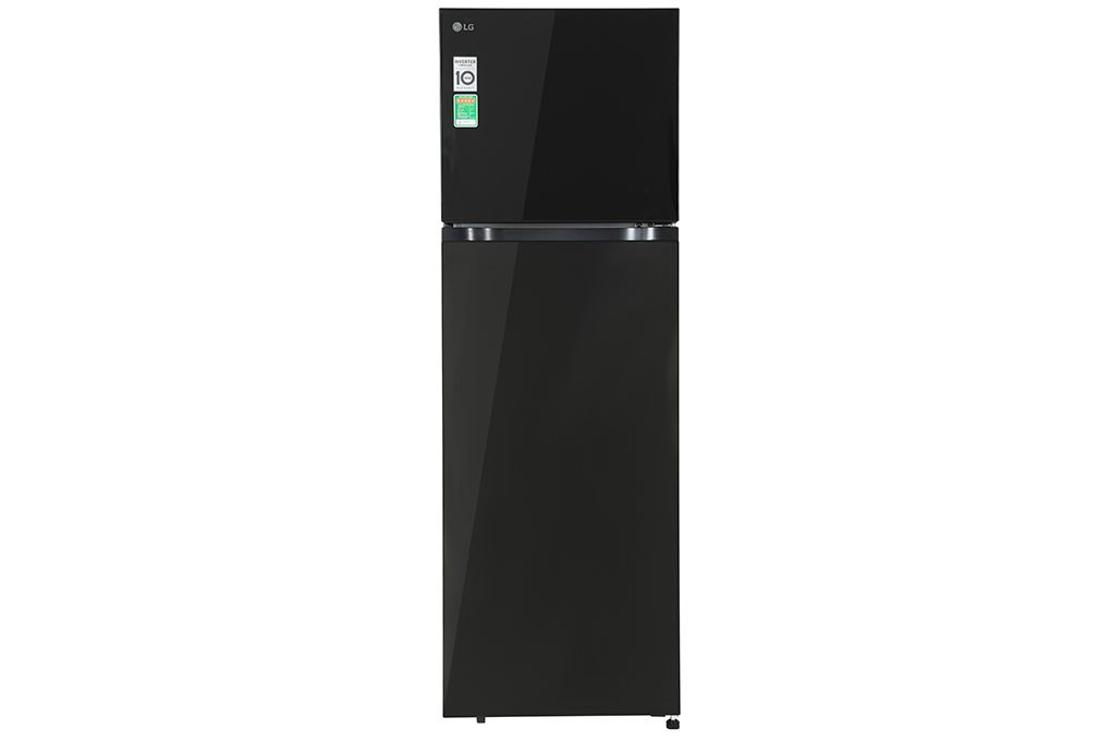 Tủ lạnh LG Inverter 266 lít T26BG - ảnh 2